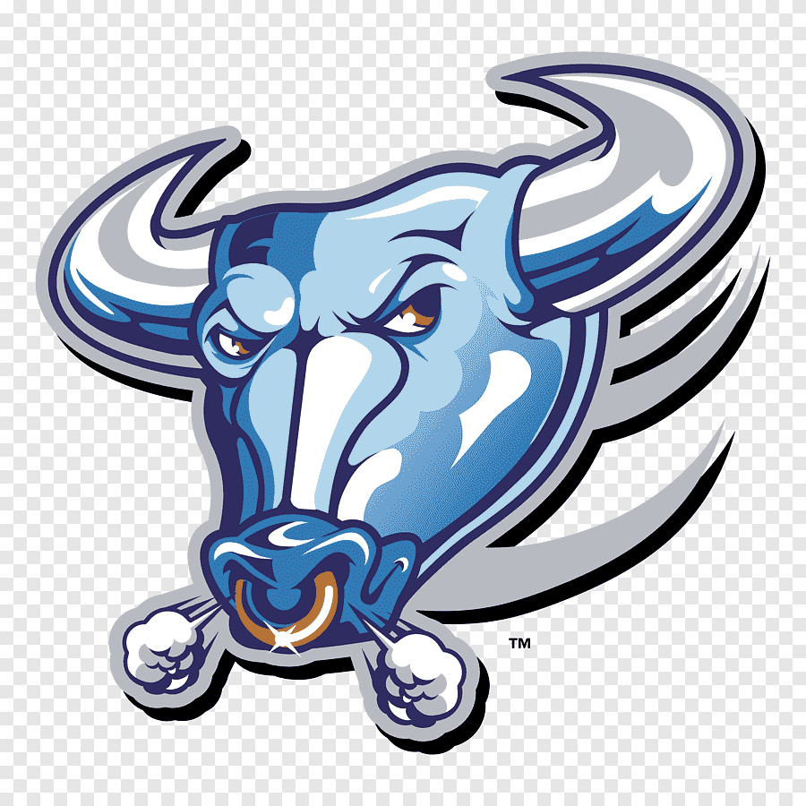 Buffalo Logo